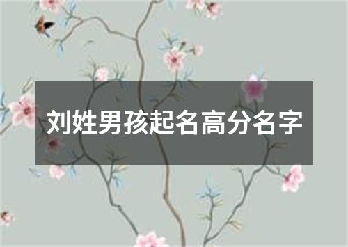 刘姓男孩起名高分名字