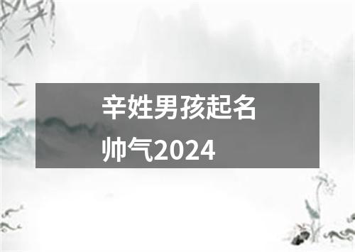 辛姓男孩起名帅气2024