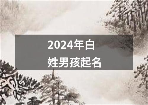 2024年白姓男孩起名