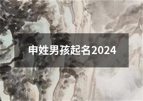 申姓男孩起名2024