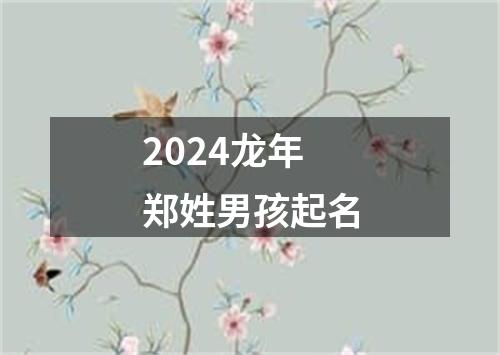 2024龙年郑姓男孩起名