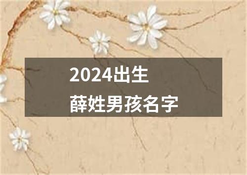 2024出生薛姓男孩名字