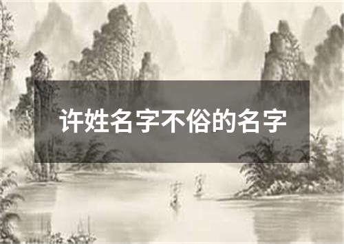 许姓名字不俗的名字