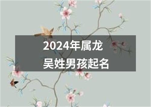 2024年属龙吴姓男孩起名