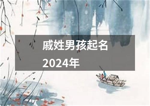 戚姓男孩起名2024年