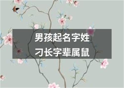 男孩起名字姓刁长字辈属鼠