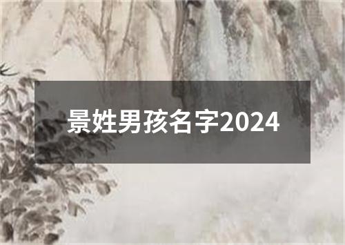 景姓男孩名字2024