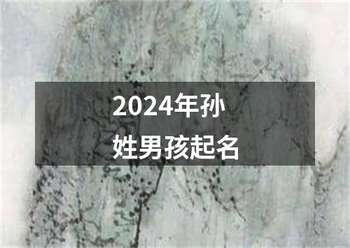 2024年孙姓男孩起名