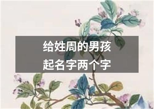 给姓周的男孩起名字两个字