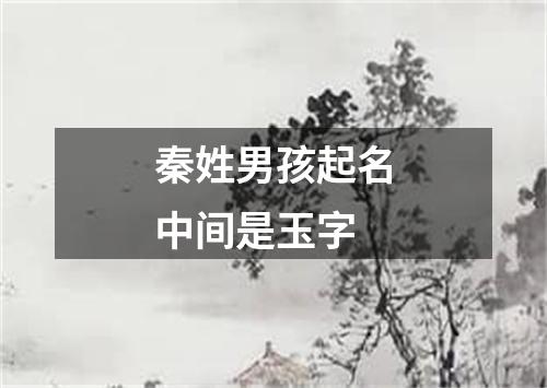 秦姓男孩起名中间是玉字