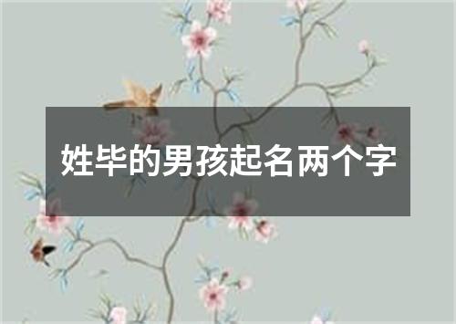 姓毕的男孩起名两个字