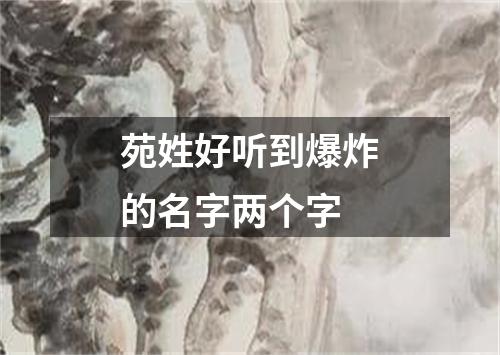 苑姓好听到爆炸的名字两个字