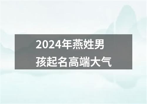 2024年燕姓男孩起名高端大气