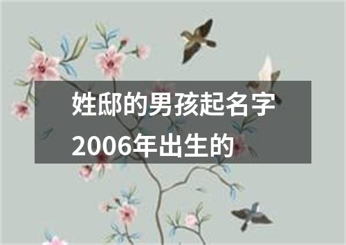 姓邸的男孩起名字2006年出生的