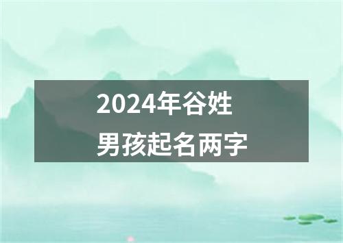 2024年谷姓男孩起名两字