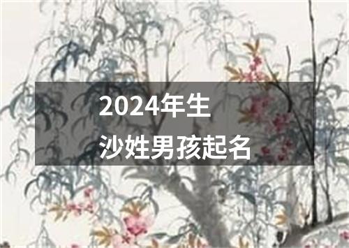 2024年生沙姓男孩起名