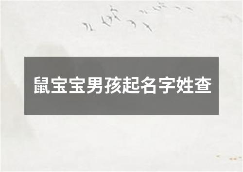 鼠宝宝男孩起名字姓查