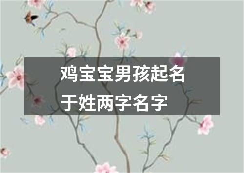 鸡宝宝男孩起名于姓两字名字