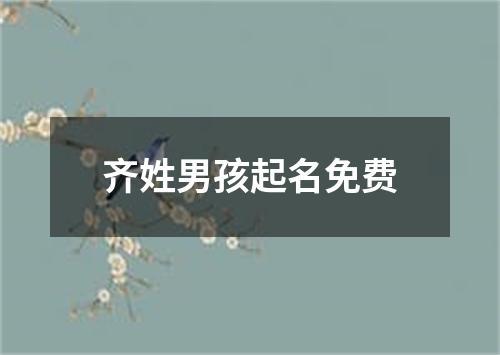 齐姓男孩起名免费