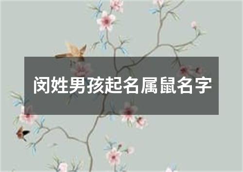 闵姓男孩起名属鼠名字