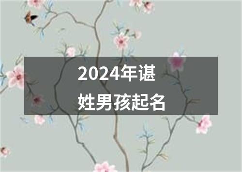 2024年谌姓男孩起名