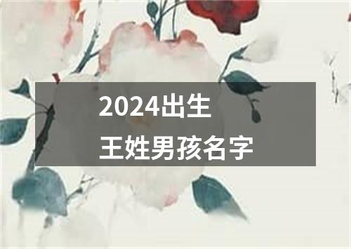 2024出生王姓男孩名字