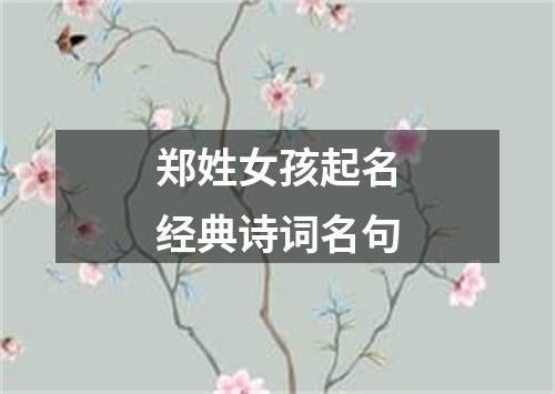 郑姓女孩起名经典诗词名句