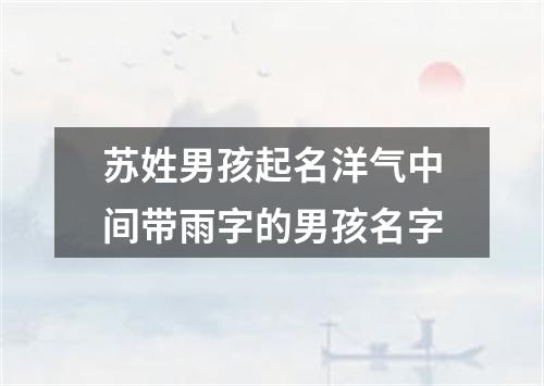 苏姓男孩起名洋气中间带雨字的男孩名字