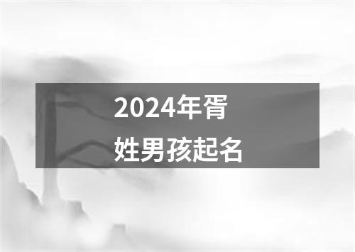 2024年胥姓男孩起名