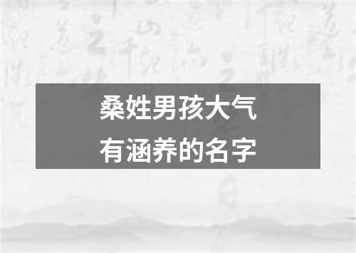 桑姓男孩大气有涵养的名字