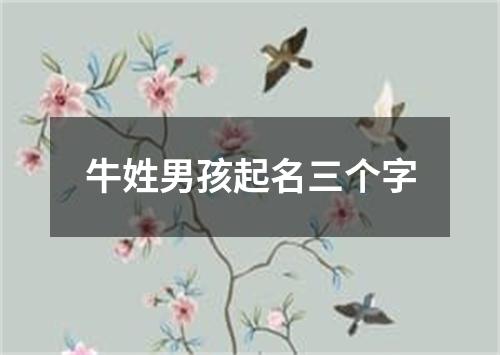 牛姓男孩起名三个字