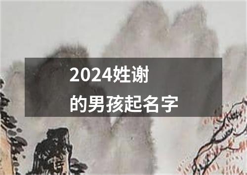 2024姓谢的男孩起名字