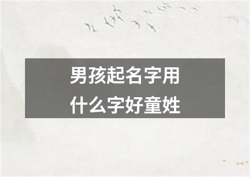 男孩起名字用什么字好童姓