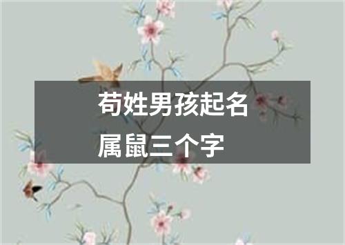 苟姓男孩起名属鼠三个字