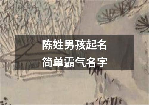 陈姓男孩起名简单霸气名字