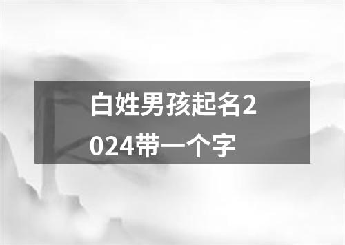 白姓男孩起名2024带一个字