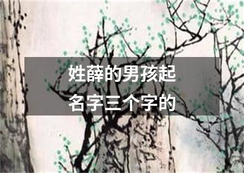 姓薛的男孩起名字三个字的