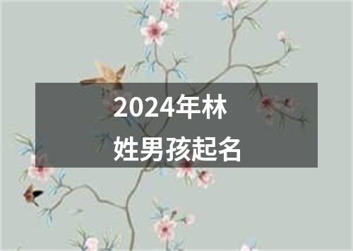 2024年林姓男孩起名