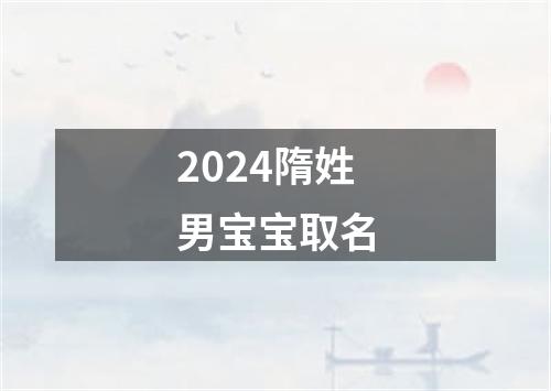 2024隋姓男宝宝取名