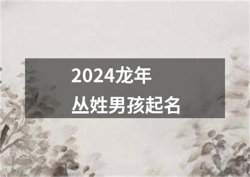 2024龙年丛姓男孩起名