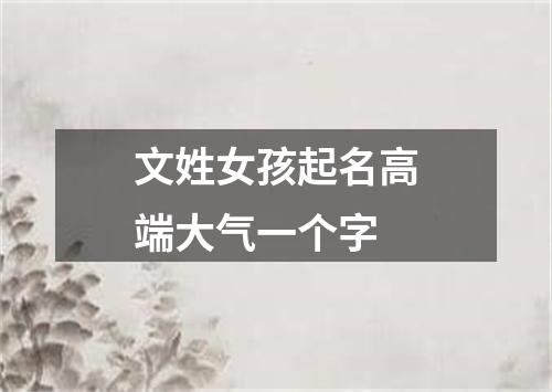 文姓女孩起名高端大气一个字