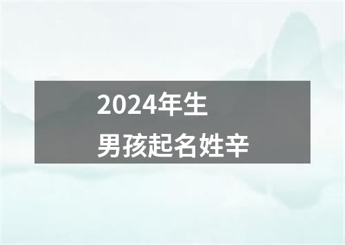 2024年生男孩起名姓辛