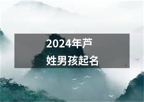 2024年芦姓男孩起名