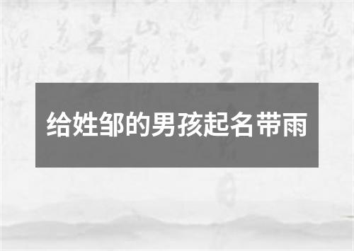 给姓邹的男孩起名带雨