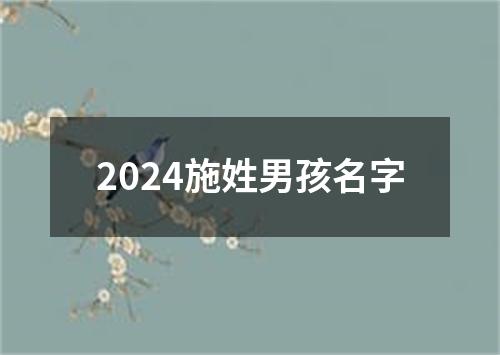 2024施姓男孩名字