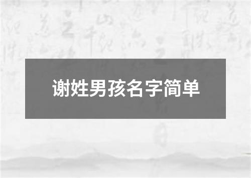 谢姓男孩名字简单