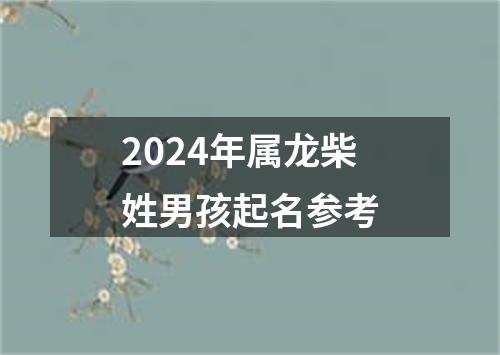 2024年属龙柴姓男孩起名参考