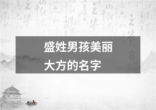 盛姓男孩美丽大方的名字