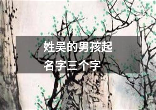 姓吴的男孩起名字三个字