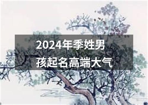 2024年季姓男孩起名高端大气